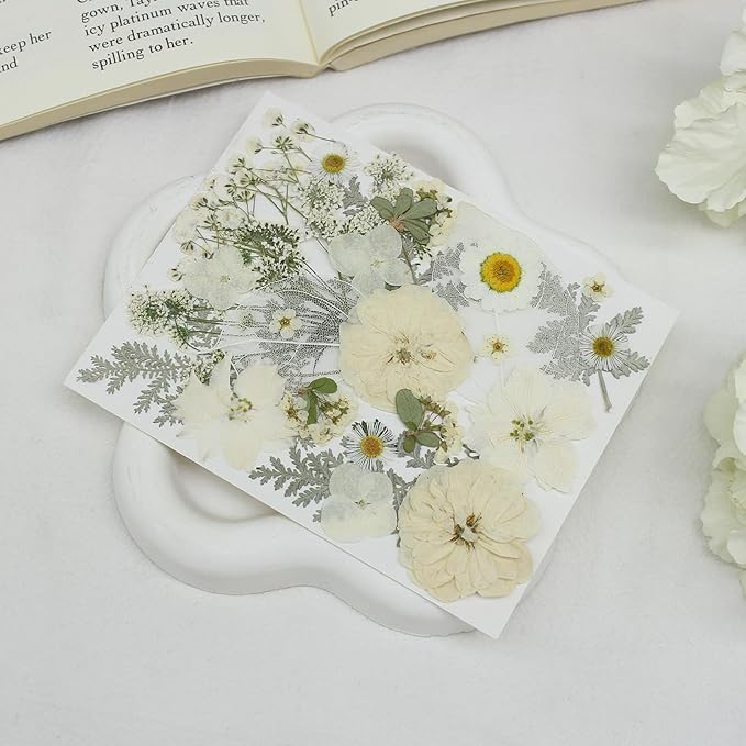 100PCS Stylifeo Natural Dried Pressed Flowers Leaves for Resin Molds Crafts