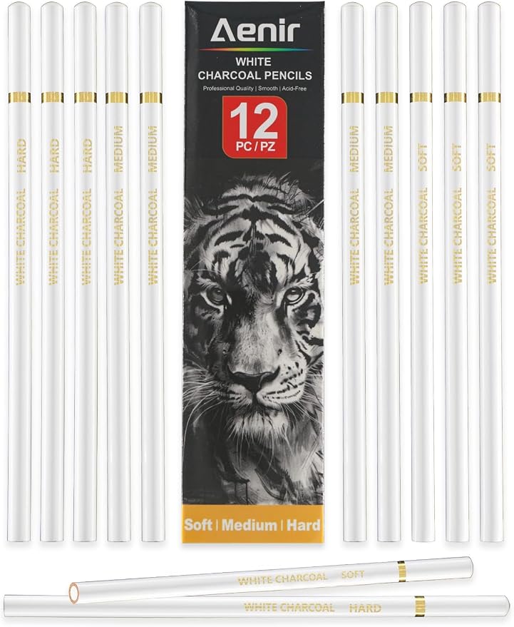 Aeni White Chalk Pencil, Pack of 12, Charcoal Pencils for Drawing | Art Supplies for Highlighting, Portraits, Landscapes, Sketching, Blending, Artist Supplies for Beginners & Pro Artists