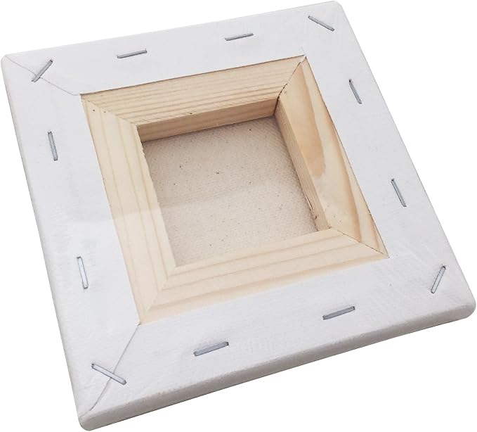 LWR CRAFTS Stretched Canvas 5" X 5" Pack of 6