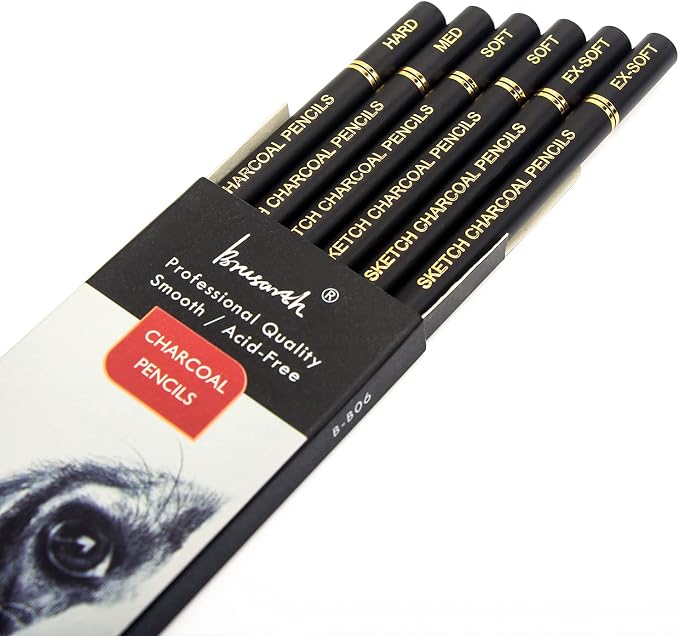 Brusarth Professional Charcoal Pencils Drawing Set - 6 Pieces Soft Medium and Hard Charcoal Pencils for Drawing, Sketching, Shading | Soft Medium and Hard Charcoal Pencils for Drawing, Sketching, Shading, Charcoal Pencils for Beginners & Artists