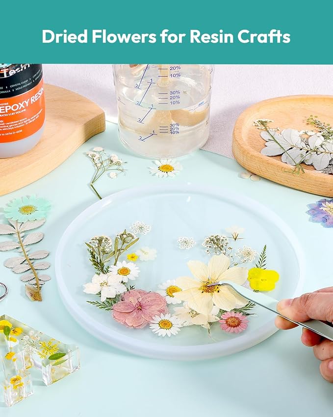 Dried Flowers, Resiners 100Pcs Pressed Flowers for Craft | White Real Natural Dried Flowers Dry Leaves Kit for DIY Making Craft Resin Soap Candle Scrapbook Supplies Card Making Jewelry