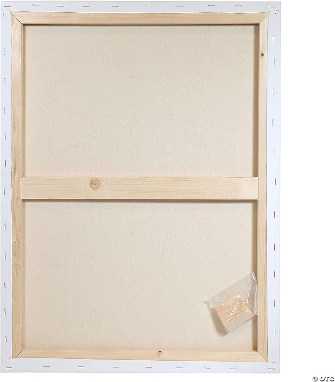 Art Advantage Artist Canvas Visual Edge 16x20, Stretched Canvas for Painting, Blank Canvas for Acrylics & Oils, Canvases for Artists, Professional Pre-Stretched Canvas