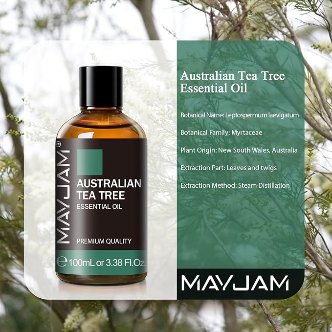 MAYJAM Australian Tea Tree Essential Oil for Diffusers, 3.38FL.OZ