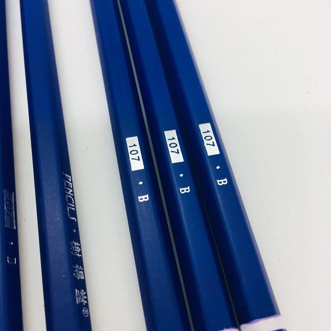 XDT#B Drawing Pencils 24 Piece Set, Pro Art Graphite Sketching&Shading Supplies, Ideal For Kid Beginner Student Adults Artist