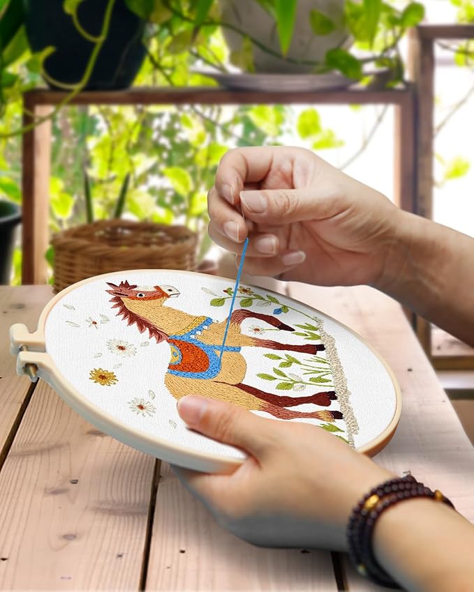 TINDTOP Embroidery Kit for Adult, 3 Pack Embroidery DIY Starter Kit