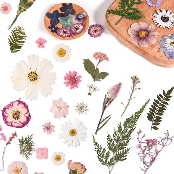 80PCS Pink Pressed Dried Flowers Dry Leaves with Tweezers
