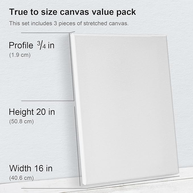 PHOENIX Professional Stretched Watercolor Canvas - 16x20 Inch/3 Pack, 100% Cotton Water Color Canvases for Painting, 8 Oz. / 260g White Blank Medium Texture Canvas for Water Based Paints