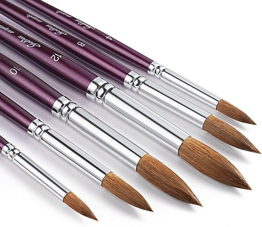 Golden Maple Professional Watercolor Brushes Set - 6PC Natural Hair Horsehair Round Point Artist Paint Brushes for Adults Watercolor Acrylic Ink Gouache Painting Supplies