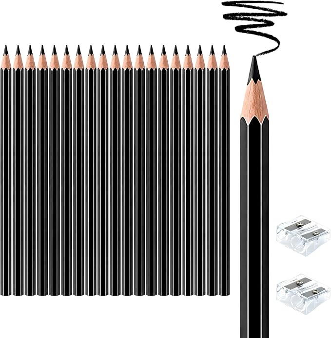 20 PCS Black Colored Pencils, Pre-sharpened Professional Wooden Art Pencils Set for Artists Painting | Premium Drawing Sketching Supplies