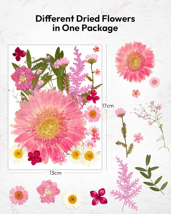 Dried Pressed Flowers, Resiners Dried Flowers for Candle Making Real Natural Pressed Flowers Dry Leaves Kit for DIY Crafts Resin Soap Scrapbook Card Making Jewelry (Gerbera Daisy 100pcs)