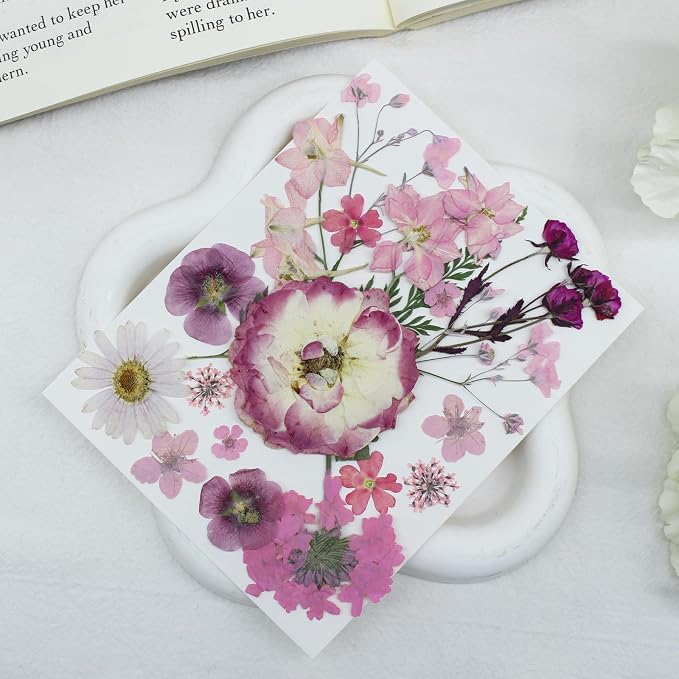 Real Nature Dried Pressed Flowers Leaves(120PcsPink White Purple)