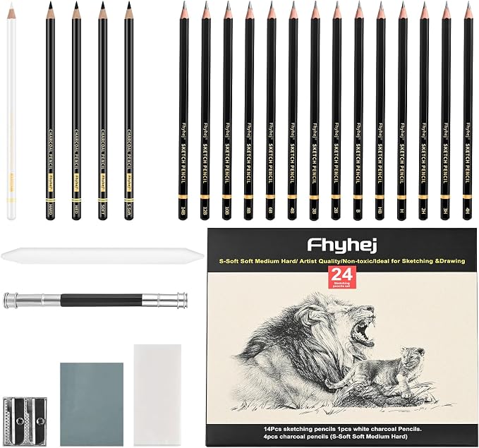 Sketch Drawing Pencil Set, 24 Pcs, Graphite Pencils (14B-4H) | Art Pencil Kit with Black and White Charcoal Pencils, Charcoal Sticks, Stumps, Eraser, Sharpeners, Sketch Set for Artists
