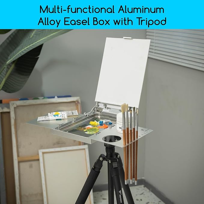 MEEDEN Plein Air Easel for Painting: Aluminum Alloy Sketchbox Easel