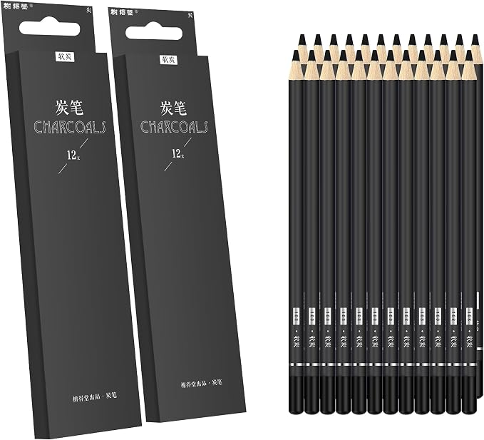 Drawing Charcoal Pencils 24 Piece Set, Pro Art Graphite Sketching&Shading Supplies, Ideal For Kid Beginner Student Adults Artist