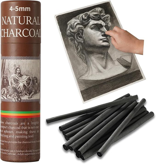 25 PCS Willow Charcoal Sticks, Ideal for Artists, Beginners, Students, Perfect for Sketching, Drawing, Shading, and Fine Art, 5.7 Inches Long, 2-4,4-5,5-7,7-9 (4-5)