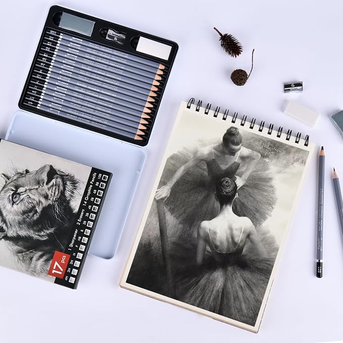 Brusarth Professional Sketch Graphite Pencils for Drawing Set,17 Pcs | Graphite Pencils (4H-10B) for Artists and Beginners, Graphite Sticks,Erasers,Sharpener, Art Pencils for Sketching