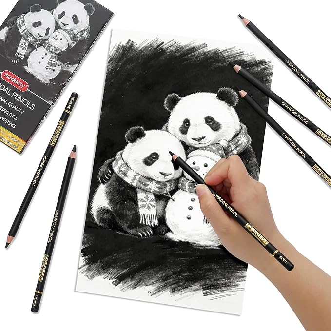 PANDAFLY Charcoal Pencils Set, 12 Pack (Super Soft, Soft, Medium & Hard) | Professional Black Charcoal Pencils for Drawing Sketching Shading, Charcoal Drawing Set for Beginners & Pro Artists
