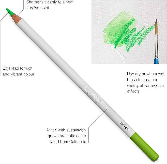 Winsor & Newton Studio Collection, Watercolor Pencils, Set of 24 | Highly pigmented, Wax-Based, Can be Used Wet/Dry, Add Water & Brush to Create Painterly Effects, Break-Resistant Points.