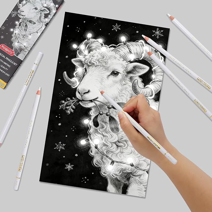 PANDAFLY White Charcoal Pencils Set, 8 Pack, Sketch Highlight Pencils | Professional White Chalk Pencils for Black Paper Drawing, Sketching, Shading, Blending, Ideal for Beginners & Pro Artists