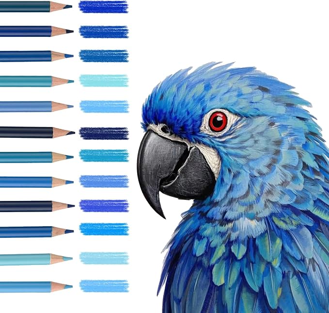 12 Blue Colored Pencils,Oil Based Colored Drawing Pencil Set for Adults Coloring Books Drawing Sketching Art