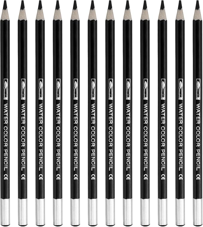 PATIKIL Watercolor Pencil, 12Pcs Water Soluble Pencils for Blending, Coloring, Sketch Drawing, Painting, Black