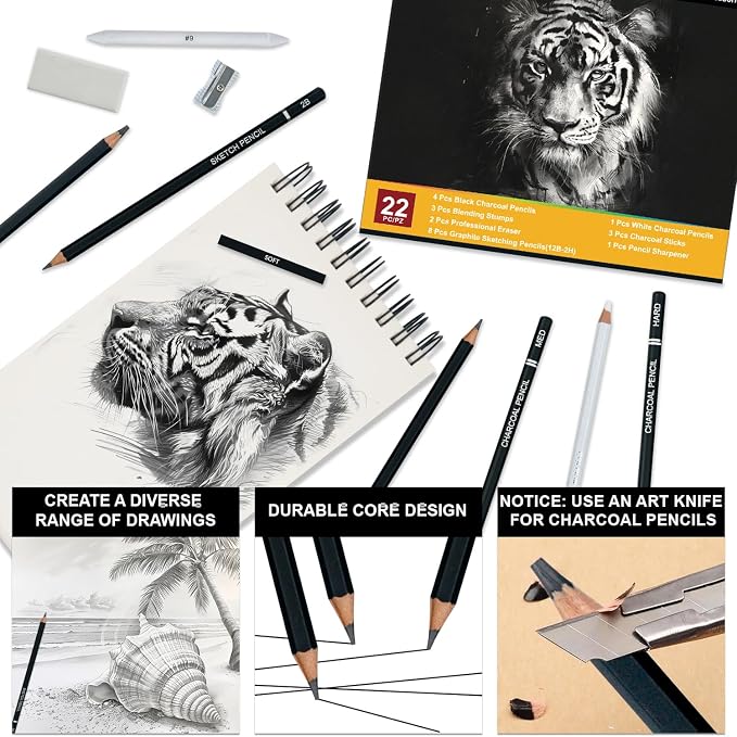 Aenir Charcoal Pencils for Drawing, Set of 22, Professional Drawing Sketch Pencils, Charcoal Art Supplies for Sketching, Shading, Artist Charcoal Supplies for Beginners & Pro Artists. (Pack of 2)