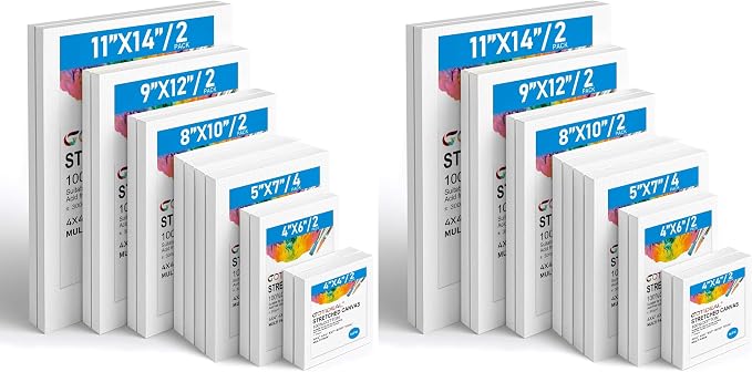 Gotideal Canvas for Painting, 14 Pcs Muti Pack Stretched Painting Canvas, Blank Paint Canvases for Acrylic, Oil, Art Supplies for Artists, Adults 4x4,4x6, 5x7, 8x10,9x12, 11x14 Set of 14 (Pack of 2)