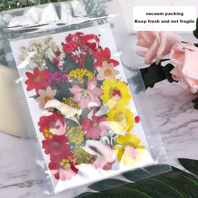 Augshy Dried Pressed Flowers, Natural Resin Flowers, Real Mixed Color Pressed Flowers, Colorful Dry Flowers for Resin Jewelry Nail Art Craft DIY