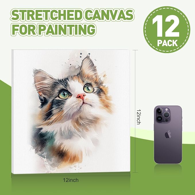 FUMILE Stretched Canvas for Painting 12x12, 12 Pack Square Canvases for Painting-5/8 in Profile Primed White Blank Painting Canvas Value Pack for Oil & Acrylic Paint