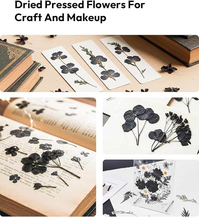 Dried Flowers, Resiners 100Pcs Pressed Flowers for Craft Black Real Natural Dried Flowers Dry Leaves Kit for DIY Making Crafts Resin Soap Candle Scrapbook Supplies Card Making Jewelry