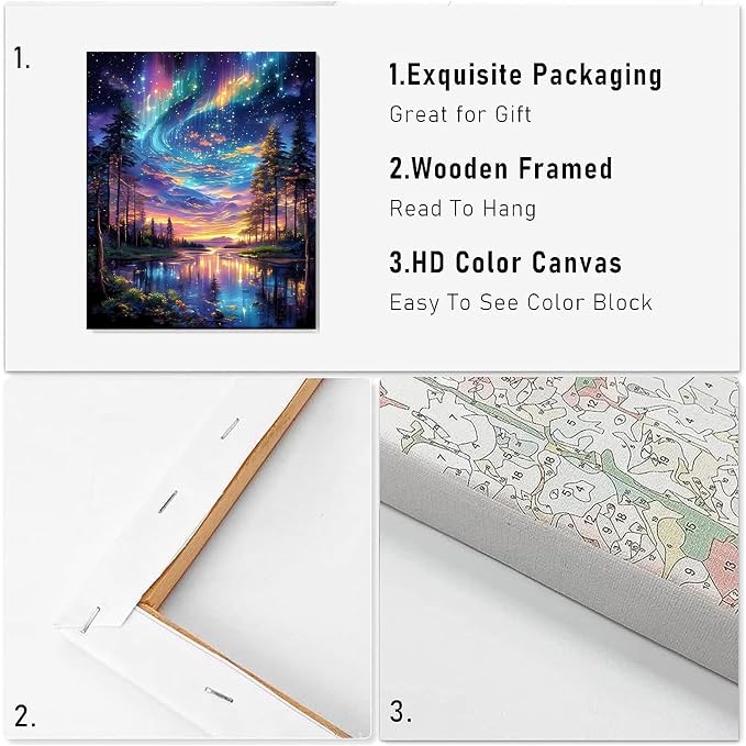VIGEGU Aurora Paint by Numbers Kit for Adults with Framed 10x12in | Starry Sky Landscape Paint by Number DIY Adult Paint by Number Kits Acrylic Oil Painting for Wall Decor