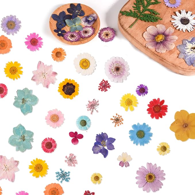 80PCS Multicolor Pressed Dried Flowers Dry Leaves