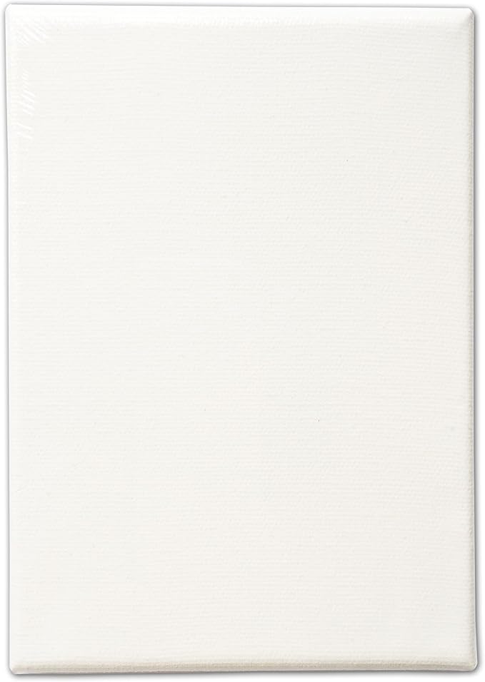 LWR CRAFTS Stretched Canvas 4" X 6" Pack of 6