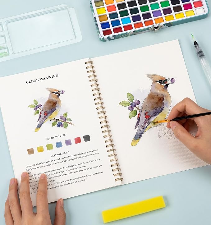 Watercolor Workbook with 12 Bird Patterns, 50 Colors Watercolor Paint Set | Water Coloring Book, Beginner-Friendly Watercolor Workbooks for Creative Exploration Gift for Adults