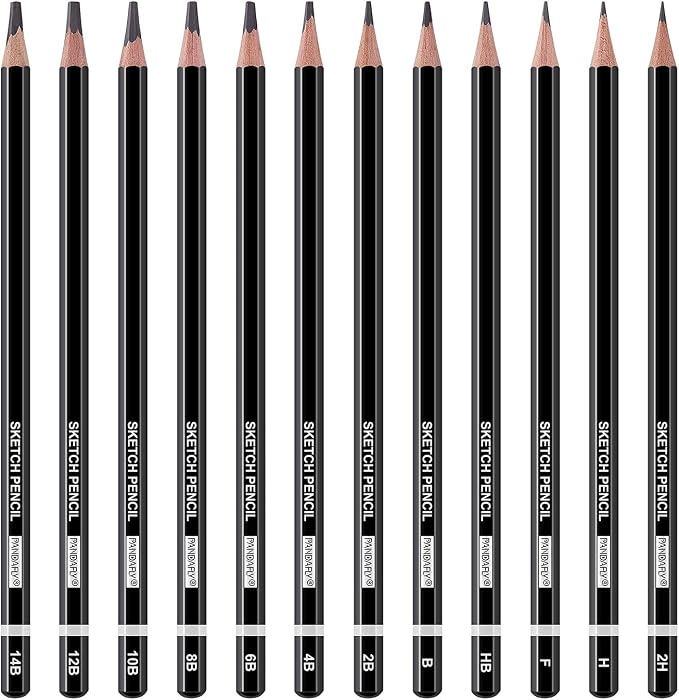 PANDAFLY Drawing Sketching Pencil Set, 12 Pack, Graphite Pencils (14B - 2H) | Ideal for Drawing Art, Sketching, Shading, Artist Pencils for Beginners & Pro Artists
