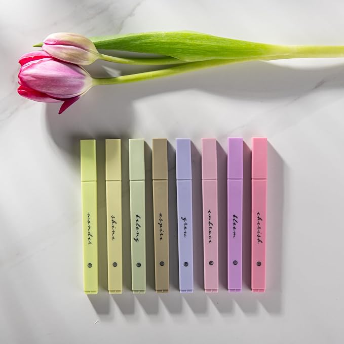 DIVERSEBEE Bible Highlighters with Soft Chisel Tip, No Bleed (Figs)