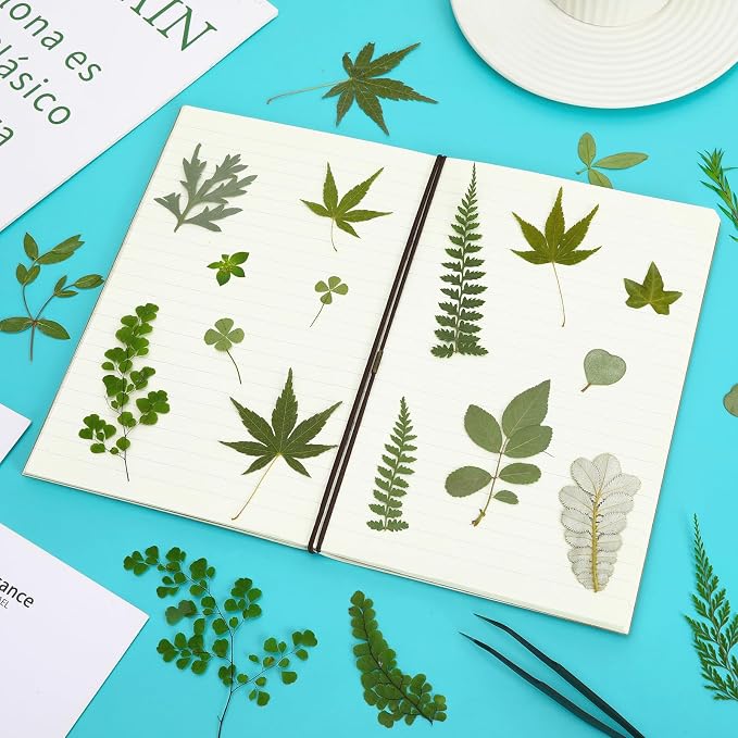 Augshy Pressed Dried Leaves Flowers, 100 Pcs Green Dried Flowers Leaves for Resin Molds Assorted Real Pressed Flowers for Crafts DIY Jewelry Molds, Scrapbooking, Candle