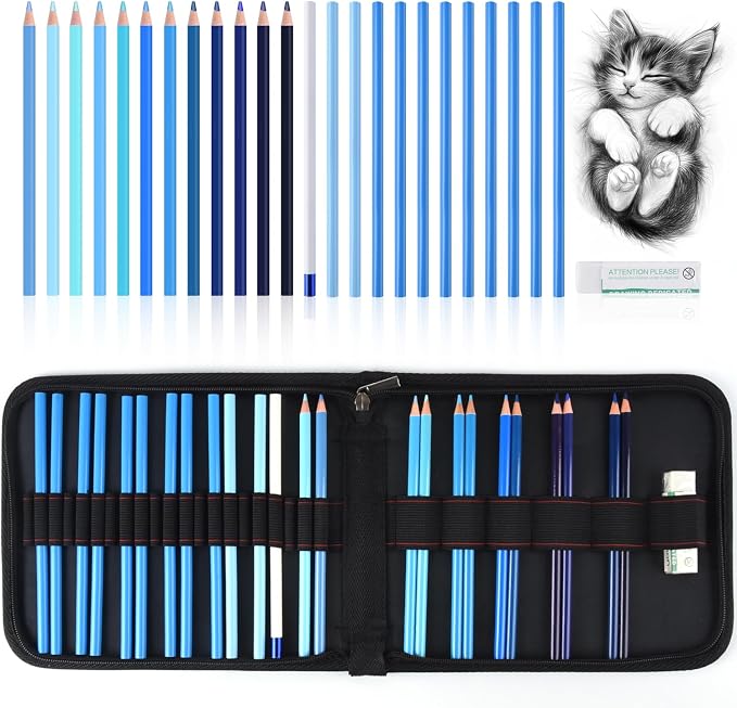 Professional Drawing Set,12 Colored Pencils,12 Graphite Pencils,Eraser,Case | Portable Travel Colored Pencil Case,Sketching Shading Blending Art Supplies,Gifts for Artists Adults Beginners.Blue Black