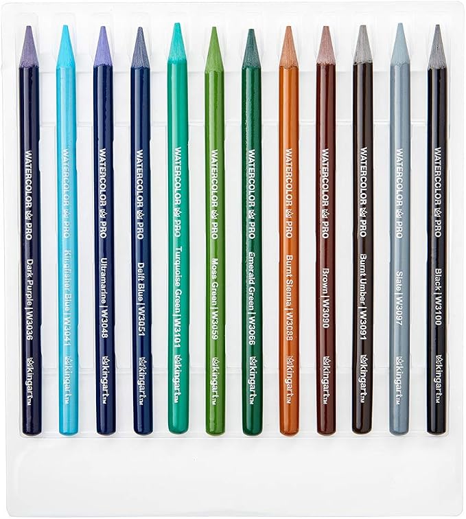 KINGART 315-24 Pro Artist Quality 24 Ct. Woodless Watercolor Pencil Set, 24 Soft Core, Pre-Sharpened Crayon Style Art Pencils, Use Wet or Dry, Professional to Beginner