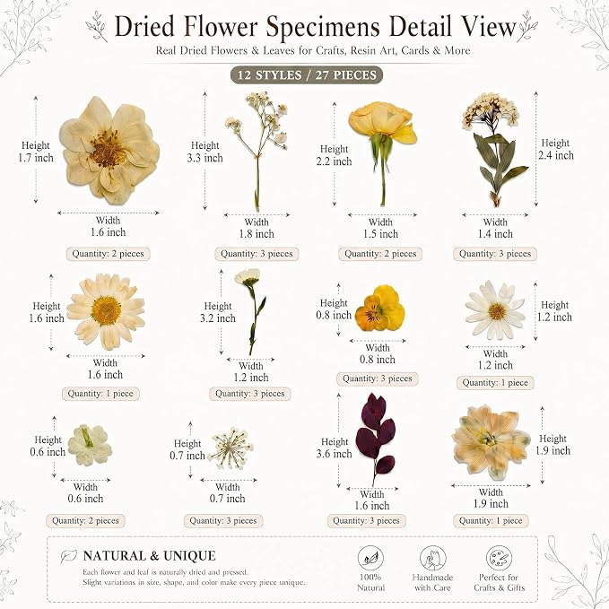 LUXEEASE 100P Vintage Warm Tone Dried Pressed Flowers