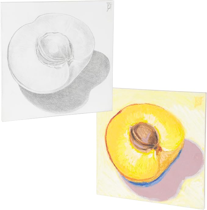 Jerry's Artarama Da Vinci Dual Sided Pro Panel Board - 2-Pack, 8x10" 6mm Deep Panels for Painting - Archival, Acid-Free Art Supplies - Ultra-Smooth & Medium Textured Paint Surfaces