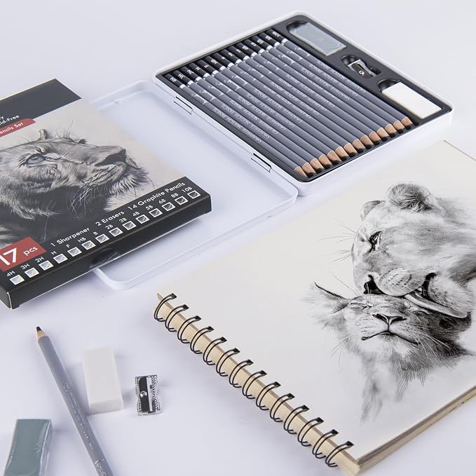 Brusarth Professional Sketch Graphite Pencils for Drawing Set,17 Pcs | Graphite Pencils (4H-10B) for Artists and Beginners, Graphite Sticks,Erasers,Sharpener, Art Pencils for Sketching