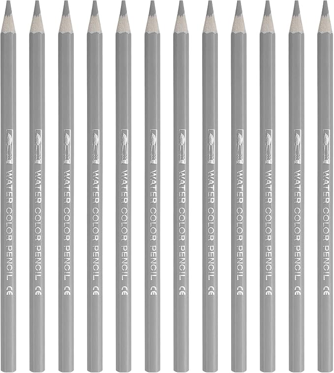 PATIKIL Watercolor Pencil, 12Pcs Water Soluble Pencils for Blending, Coloring, Sketch Drawing, Painting, Silver