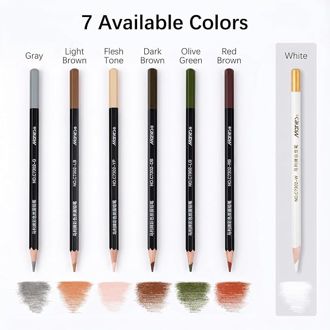 Marie's Professional Charcoal Drawing Set - Premium Artist Sketching Pencils for Portraits & Fine Art - Ideal for Professional Artists & Studio Creation(Grey)