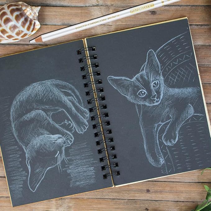 PANDAFLY White Charcoal Pencils Set, 8 Pack, Sketch Highlight Pencils | Professional White Chalk Pencils for Black Paper Drawing, Sketching, Shading, Blending, Ideal for Beginners & Pro Artists