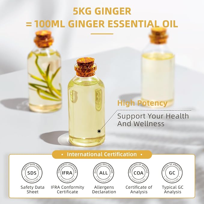 HIQILI Ginger Oil for Hair, Massage & Skin