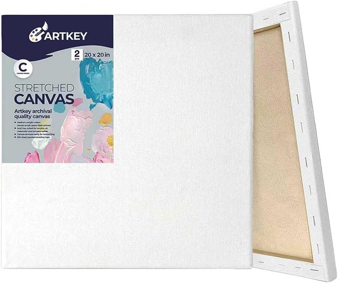 Large Canvases for Painting 20x20 Inch 2-Pack, 12.3 oz Triple Primed Acid-Free 100% Cotton Stretched Canvas, Blank Large Canvas for Oil Paint Acrylics Pouring & Wet Art Media