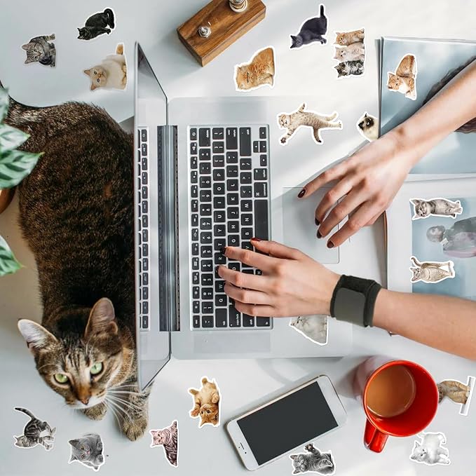 100 Pcs Cat Stickers for Water Bottles Laptop Guitar Suitcase