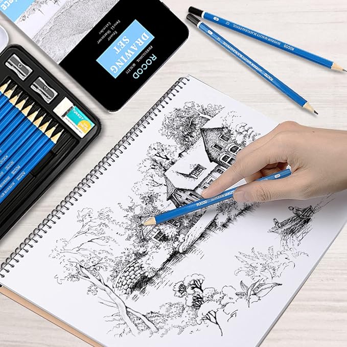 Profession Sketch Pencils 6B to 4H for Kids and Adults Drawing, Art Graphite Pencil for Artists Beginner Sketching (Pack of 2)