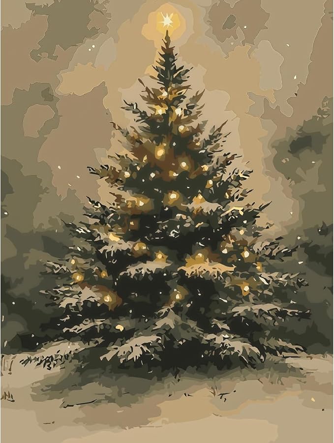 BAWKENTON Christmas Paint by Numbers Kits for Adults Beginner